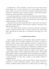 Paauglių agresyvumas kaip socialinis pedagoginis reiškinys 11 puslapis