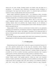 Paauglių agresyvumas kaip socialinis pedagoginis reiškinys 12 puslapis