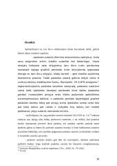 Paskolos sutarties užsienio valiuta vykdymas 16 puslapis