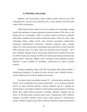 Prieigos tinklų lyginamoji analizė 16 puslapis