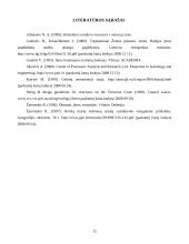 Priekrantiniai nešmenų srautai 12 puslapis