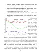 Priekrantiniai nešmenų srautai 9 puslapis