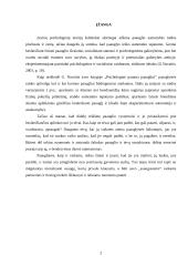Problemos paauglystėje 2 puslapis