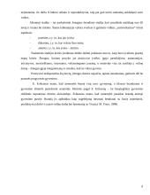 Psichosocialinė rolių teorija 8 puslapis