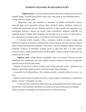 Psichosocialinė rolių teorija 9 puslapis