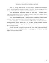 Psichosocialinė rolių teorija 10 puslapis