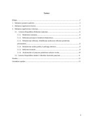 Reklamos teisinis reguliavimas Lietuvoje 3 puslapis