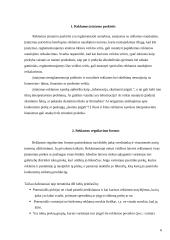 Reklamos teisinis reguliavimas Lietuvoje 5 puslapis