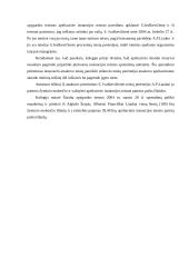 Renta ir rentos sutartis 13 puslapis