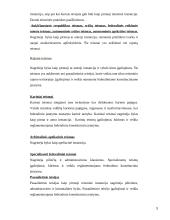 Rusijos teismų sistema 9 puslapis