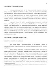 Sandorio negaliojimo samprata 2 puslapis