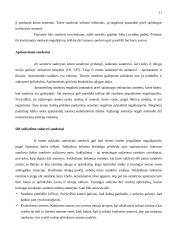 Sandorio negaliojimo samprata 10 puslapis