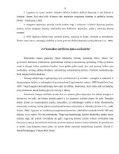 Pagrindinės savižudybės priežastys 5 puslapis