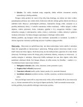 Asmenybės veiklos motyvacija 3 puslapis