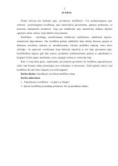 Socialiniai konfliktai 2 puslapis