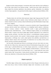 Suaugusiojo socializacijos samprata 6 puslapis