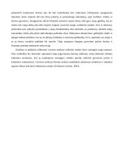 Suaugusiojo socializacijos samprata 9 puslapis