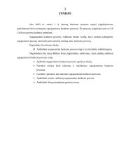 Supaprastintas bankroto procesas 2 puslapis