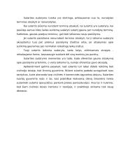 Sutarčių sudarymas 19 puslapis