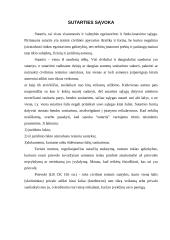 Sutarties sąvoka, sąlygos, sudarymas 4 puslapis