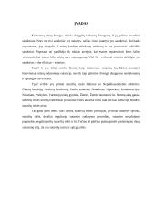 Sutarčių turinys, sąlygų rūšys 3 puslapis