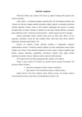 Sutarčių turinys, sąlygų rūšys 4 puslapis