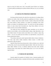 Sutuoktinių turtiniai santykiai pagal Lietuvos Statutų ir mūsų dienų teisę 6 puslapis