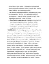 Šeima kaip visuomenės institucija 4 puslapis