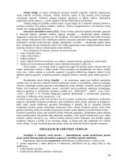 Teisinės įmonių formos Lietuvoje. Pagrindiniai įmonių steigimo dokumentai 18 puslapis