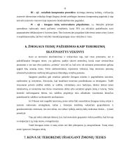 Terorizmas ir žmogaus teisių pažeidimai 11 puslapis