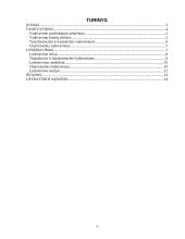 Vadovavimas ir lyderiavimas socialinėje psichologijoje 3 puslapis