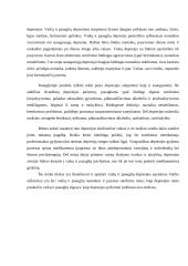 Vaikų ir paauglių depresija 2 puslapis
