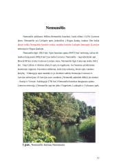 Nemunėlio upės įvertinimas 12 puslapis