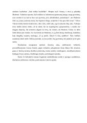 Antano Vaičiulaičio romano „Valentina“ fragmento analizė ir interpretacija 2 puslapis