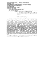 I. Šeinius "Kuprelis" 2 puslapis