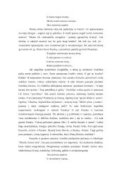 Ironija H. Radausko kūryboje 2 puslapis