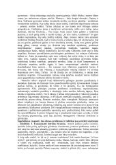 J. Ivanauskaitė "Mėnulio vaikai" 2 puslapis