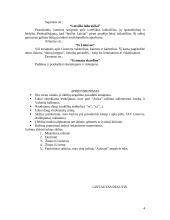 Leidinio "Aušra" analizė 3 puslapis