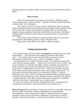 Viktoras Hugo "Paryžiaus katedra"  4 puslapis