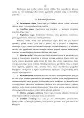Įmonės rėmimo strategija: UAB "Vakaris" 12 puslapis