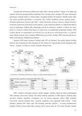 Organizuoto išvykstamojo turizmo problema Lietuvoje (srautų analizė 1997 - 2004 metais) 17 puslapis