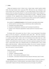 Organizuoto išvykstamojo turizmo problema Lietuvoje (srautų analizė 1997 - 2004 metais) 3 puslapis