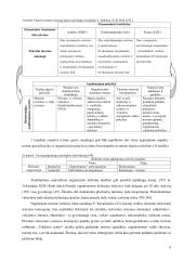 Organizuoto išvykstamojo turizmo problema Lietuvoje (srautų analizė 1997 - 2004 metais) 8 puslapis