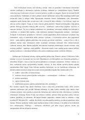 Organizuoto išvykstamojo turizmo problema Lietuvoje (srautų analizė 1997 - 2004 metais) 9 puslapis