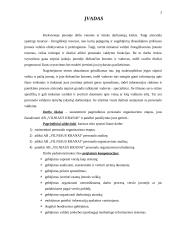 Personalo organizavimas: AB "Vilniaus kranai" 3 puslapis