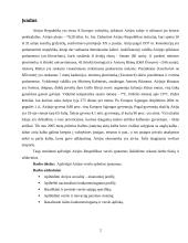 Airijos socialinė-verslo aplinka 2 puslapis