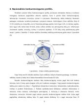 Airijos socialinė-verslo aplinka 11 puslapis