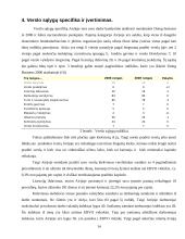 Airijos socialinė-verslo aplinka 14 puslapis