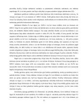 Airijos socialinė-verslo aplinka 15 puslapis