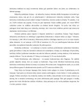 Airijos socialinė-verslo aplinka 16 puslapis